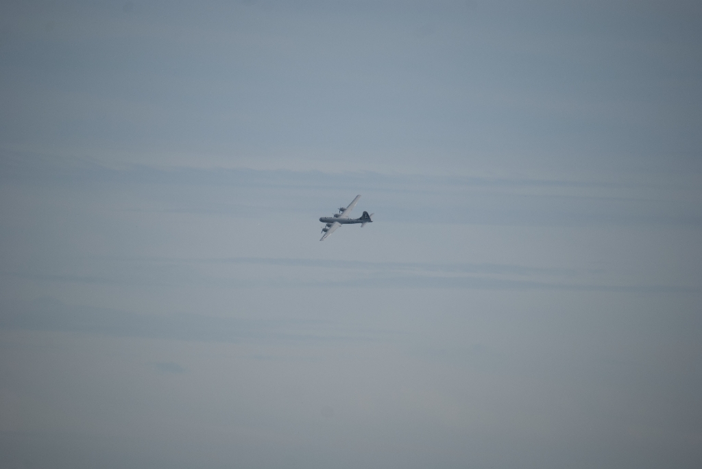 DSC_3526.jpg